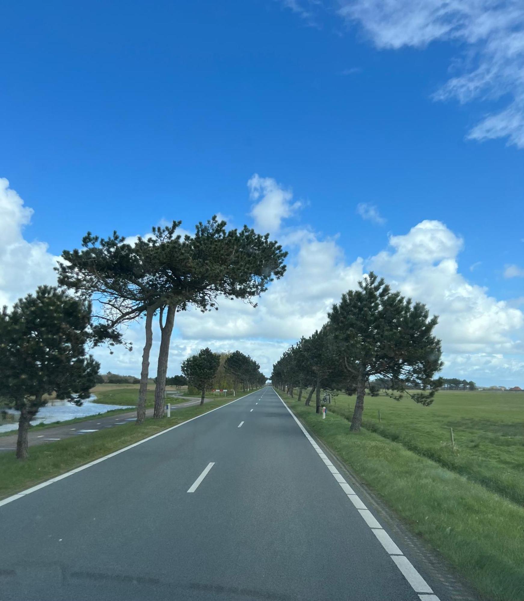 Appartement De Kompaan, Resort Amelander Kaap Hollum  Exteriör bild
